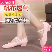 1 pair of cloth teacher dance shoes soft bottom female adult ballet shoes womens practice shoes with folk dance shoes