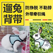 Kano rabbit traction rope Rabbit rope Rabbit strap Rabbit chain walking rabbit rope chest and back mesh cloth