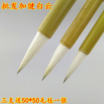Jiajian large small and medium-sized Baiyun wolf sheep and brush pen four treasure students calligraphy Chinese painting brush wholesale