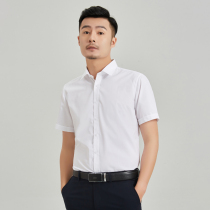 Short-sleeved shirt Mens business casual formal slim-fit youth professional shirt mens work lapel summer cotton shirt