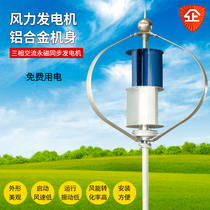 Factory small wind turbine wind turbine wind and wind complementary use home landscape street lamp 100w200w300w400w