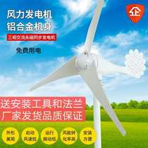 Factory wind turbine wind-wind complementary household Marine use for mountain grassland for scenic spot landscape