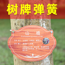 Tree spring 304 stainless steel stainless steel stainless steel ancient tree can be scaled hanging chain spring 200-1000mm