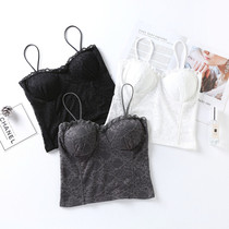 Fan-style harness vest female trowel external wearing sexy lace meaty back blouses girl thin steel ring without steel ring wrapped in chest underwear