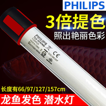 Red Golden Dragon Fish Special Light Philips 865 Dragon Fish Light T8 T9 Diving Light Fish Tank Aquarium Water Waterproof Light