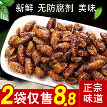 Ready-to-eat crispy silkworm chrysalis fried silkworm chrysalis spicy spiced silkworm chrysalis snacks snacks cooked appetizers small silkworm chrysalis Shandong