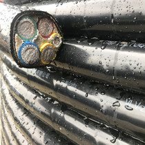 Zhejiang China Cable Yongtong Zhongce National Standard Double Steel Armored Aluminum Core Cable VLV22 4*240 1*120 square