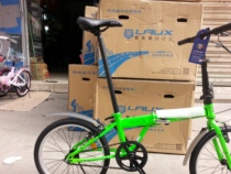 Rex Bike Folding Bike Carbon Steel Frame 20 inches