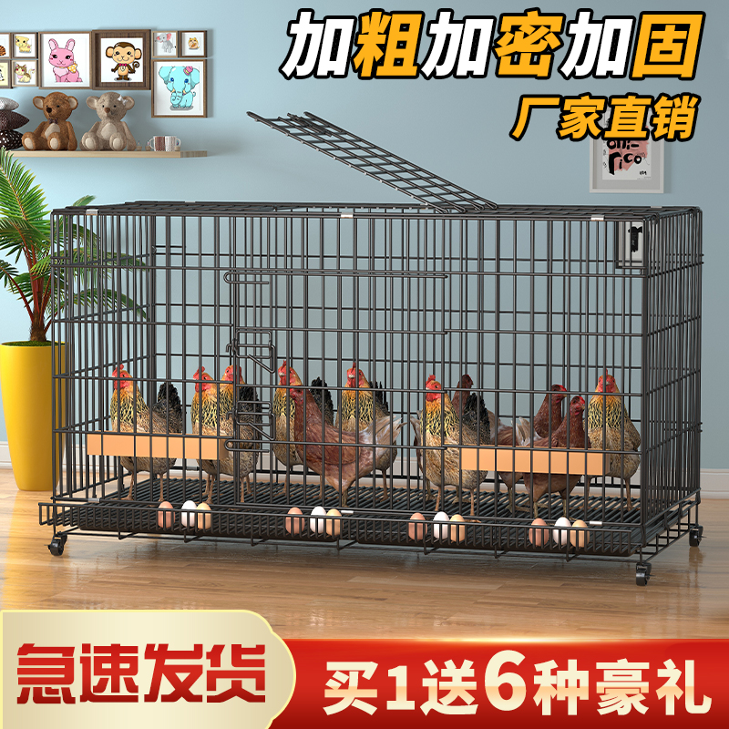 Chicken cage home egg laying chicken cage automatic manure rolling egg rolling large extra large chicken nest chicken coop folding breeding cage