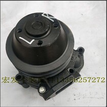 Small Loader Forklift Accessories Dongfanghong One Tow LR4105 4108 Engine Water Pump Promotion
