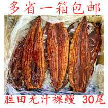 Katsuta unsaved naked eel Japanese-style kashiki grilled eel 30P Eel 10KG 30kg box of 30 pieces