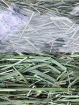 Spot Canadian imports of Timothy grass plus snow grass