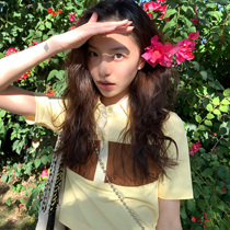 YUYUREAL-polo collar short sleeve t-shirt female summer new design sensation small crowdjacket