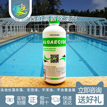 Swimming pool Algae Remover eco-friendly hydrotherapy pool massage pool Pharmacy to kill algae Algae Killer Siberchlorine Bullosa