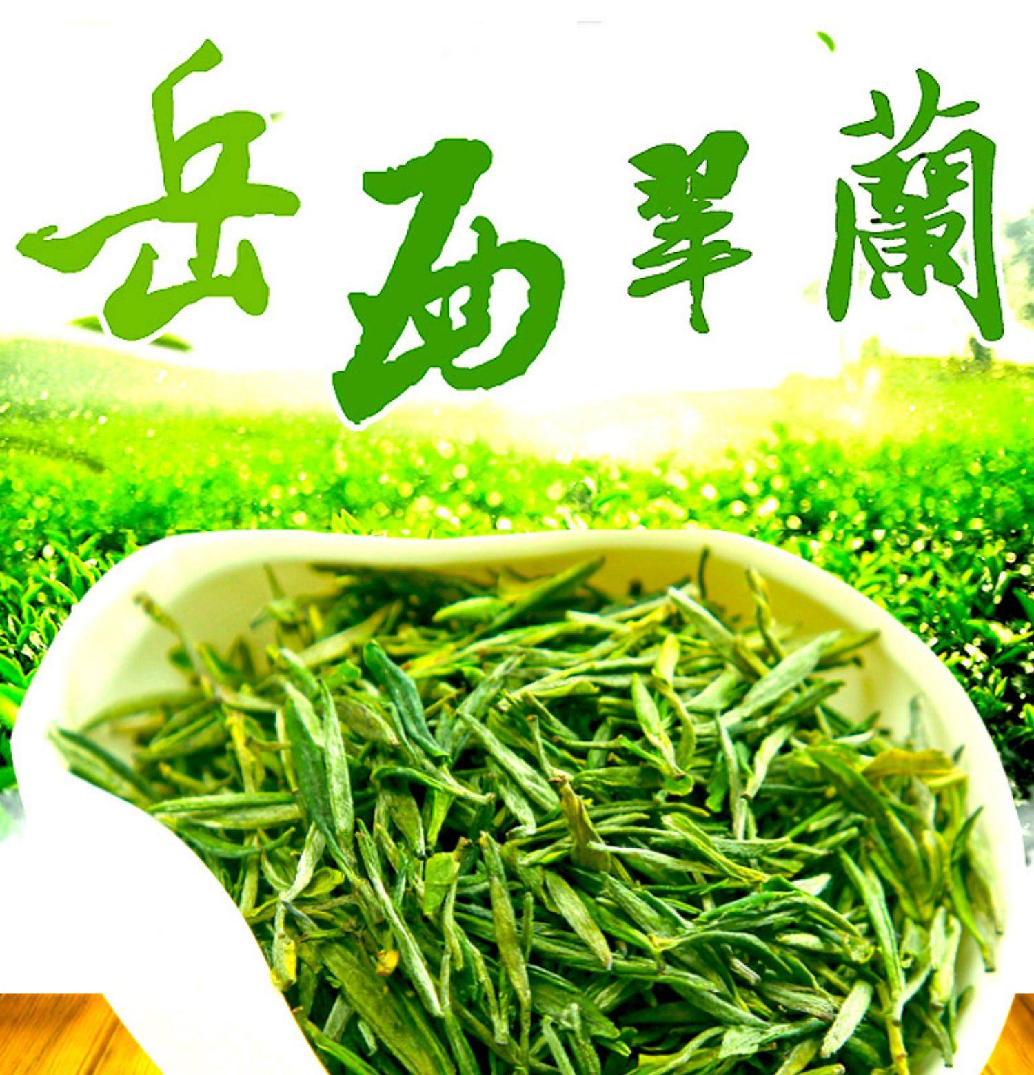 绿月安徽绿茶 岳西翠兰2018茶叶国宾礼茶翠尖 高山茶叶250g袋装_雷锋