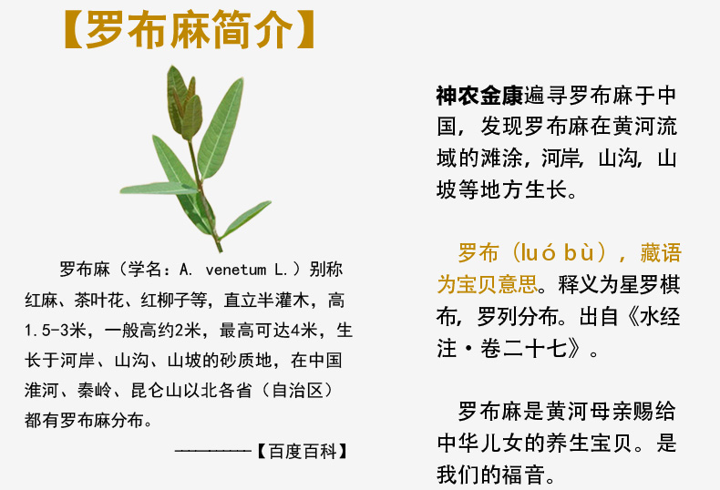 神农金康罗布麻嫩芽 新疆罗布麻原叶非袋泡罗布麻 罐装125.