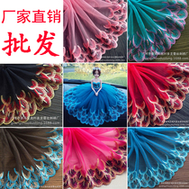 Lace trim accessories Color mesh embroidery Handmade diy clothes Skirt trim accessories Decorative fabric wide lace