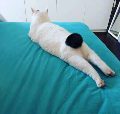 这个内裤质量不错，颜色和图片差不多，蕾丝不劣质，不扎，但是夹屁股，或许是我不习惯这种吧，但是质量好评了，瘦一点穿着更好看。