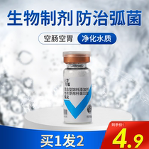 Vibrio vulnificus vulvibrio vulnificus Vibrio Vibrio Vibrio Vibrio Vibrio Vibrio in China except for harmful bacteria aquaculture