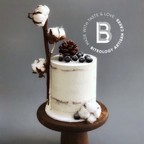 BITEOLOGY(CHERISH THE PEOPLE AROUND YOU)C037 NET CELEBRITY BOOSTER BIRTHDAY CAKE Beijing Shanghai SAME CITY