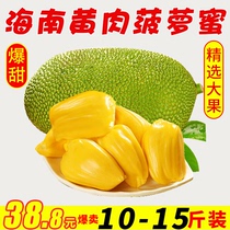Hainan yellow meat jackfruit fresh fruit season 10-15kg dry Bud jackfruit a whole red meat