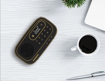 PANDA Panda S20 Bluetooth radio New portable card retro wireless mini FM walkman charging