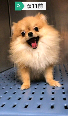 效果很好，值！！