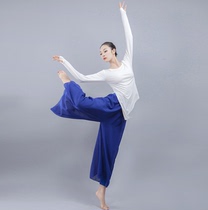 Modern dance practice with long sleeve female adult Modale yoga suit jacket finger blouses classical dance Latin dance suit