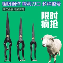 Apherd dedicated to manual wool scissors Manual scissors Industrial Hair repair pet multifunctional whole steel