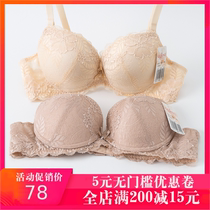 Ancient and modern womens bras gathered on the upper support adjustable underwear counter thin and thick side collection small chest bra