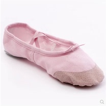 Zhuoge Adults Dance Shoes Female Ballet Body Practice Shoes Children Cat Paw Shoes Stage Performance Competition Men