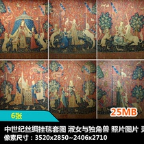 Medieval retro picture tapestry photo lady and unicorn inspiration reference retro material