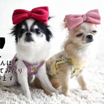 New Pet Clothes Autumn Winter Style Chai Dogs Kirky Snownery Small Midsize Dog New Year Warm Four Feet Cute