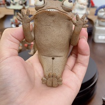 The twelve Mid-Autumn new incoming ~