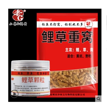 Old g grass black legend Herring herring bait bait rubber belt particles special grass killer small medicine black pit wild fishing carp grass heavy nest