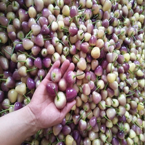 Now Picking Guangxi Fresh Pearl Five Colored Pepper with Box 5 catty Lantern Pepper 5 Color pretzels Peppers Peppers Peppers Peppers