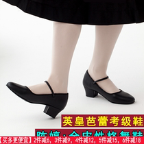 Chen Ting National standard ethnic dance examination practice black dance shoes womens mid-heel dance shoes full leather character dance shoes