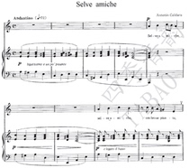 Selve amiches friendly forest sound score piano accompaniment score (with teaching singing tips)