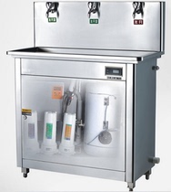Stainless steel energy saving water fountain straight water dispenser triple tap upright warm type filtration plant school company Commercial