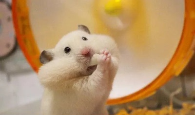 质量非常好，与卖家描述的完全一致，非常满意,真的很喜欢，完全超出期望值，发货速度非常快，包装非常仔细、严实，物流公司服务态度很好，运送速度很快，很满意的一次购物