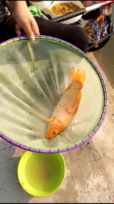 说说客友鱼竿怎么样，质量好吗？客友鱼竿是哪里生产的牌子？