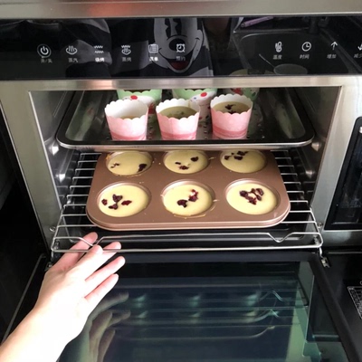 揭秘法格蒸烤箱怎么样,真相如何,不看后悔