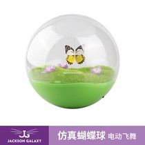 JacksonGalaxy American JG trainer recommends cat toy electric Smart Butterfly Ball Cat Toy