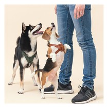 Leather chest strap American Pehom small dog dog dog cat anti-splashing water pet chest strap soft comfortable and durable