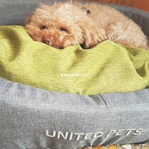 United Pets Removable Wash Thickened Pet Nest Pad Depth Sleep Kennel Cat Nest Sofa Bed All Season Mattresses