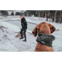 German Hunter imported dog scarf medium and large small dog warm windproof Malmo knitted scarf scarf