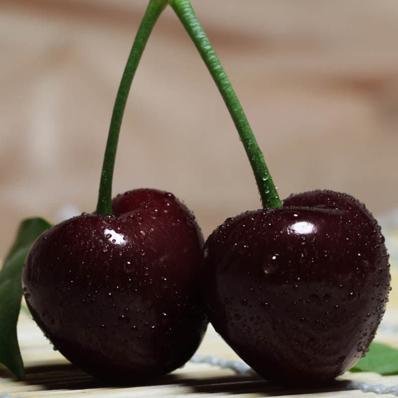 汁多大樱桃黑珍珠5斤