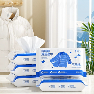 芈奈儿羽绒服免洗清洁湿巾冲锋衣衬衫强力去污衣物去渍湿纸巾家用