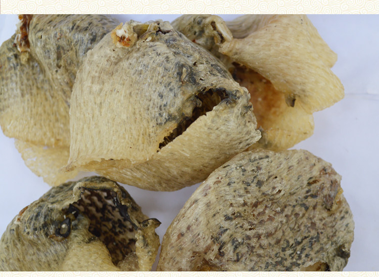 海南野生小刺豚鱼皮干手工拔刺刺龟皮鱼皮胶渔民自晒渔家嫂子