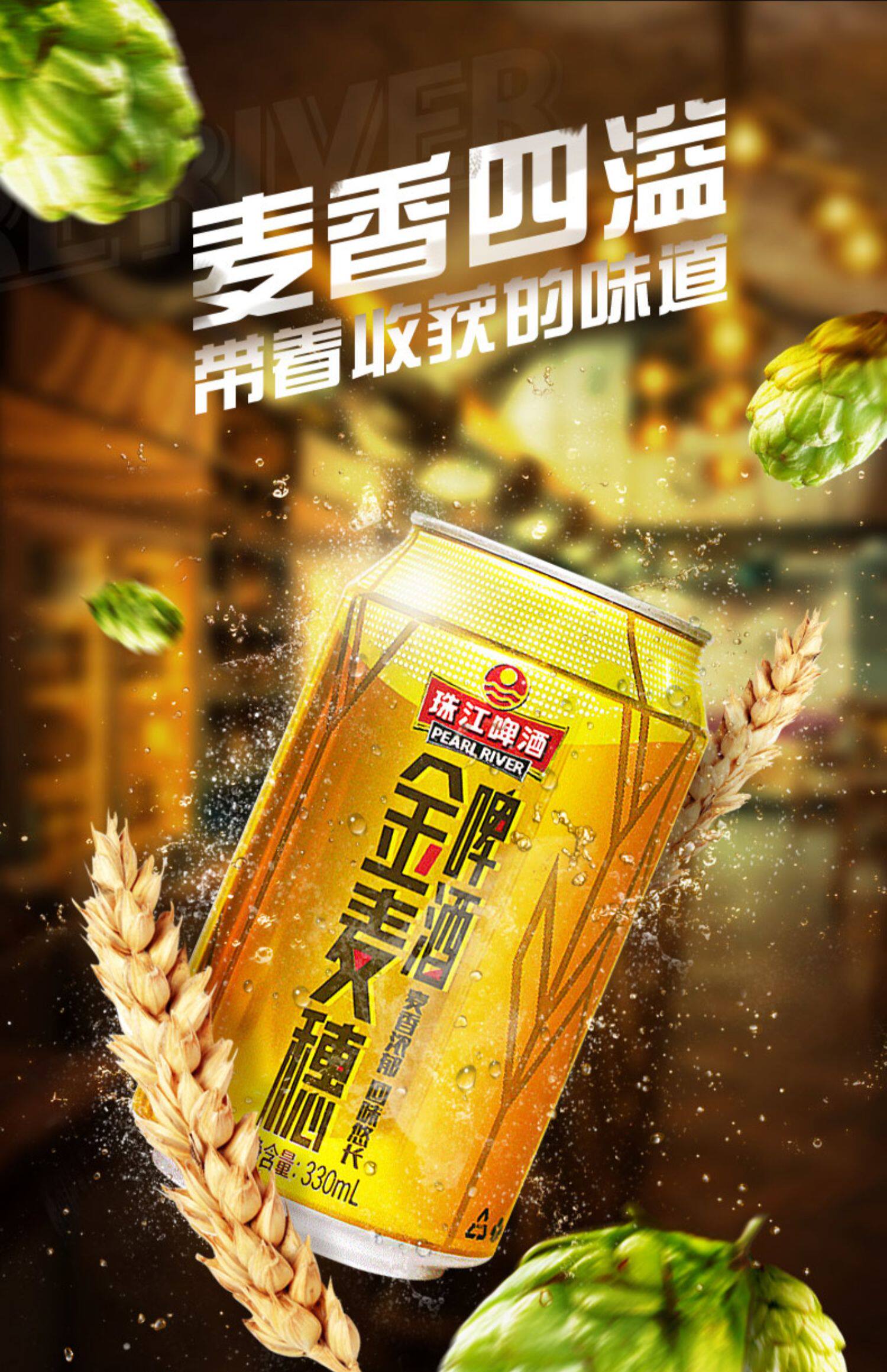 珠江啤酒10度金麦穗24罐330ml